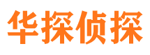 都安市调查公司